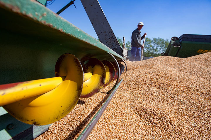 SANWEI Grain Conveyor Manufacturer 02