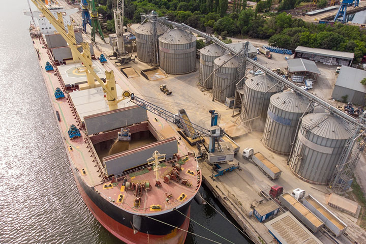 Who We Serve | Sanwei